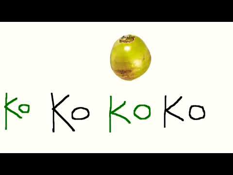 ThE kOkOnUt Song 🥥🌴| RUBIIICORN