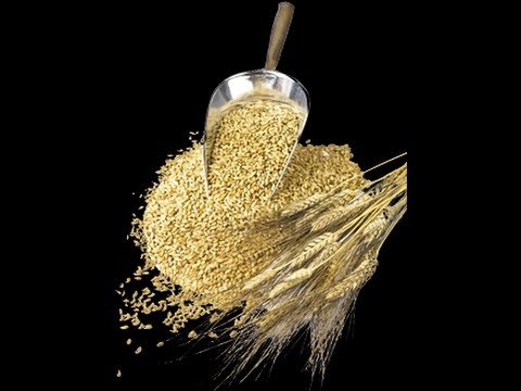 -Getreide- Weizen macht krank - Schuld ist Protein ATI