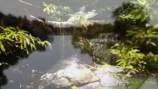 Donovan&#39;s &quot;The River Song&quot;   (Larkin edit)