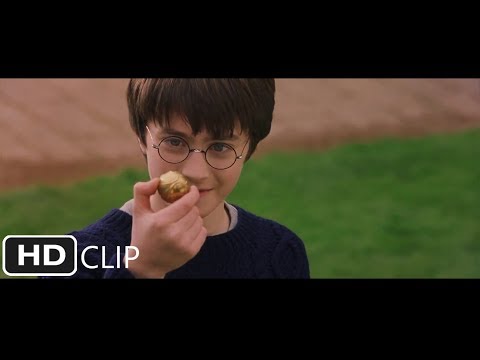 ハリーのクィディッチのレッスン｜ハリー・ポッターと魔法使いの石 (Harry's First Quidditch Lesson | Harry Potter and the Sorcerer's Stone)