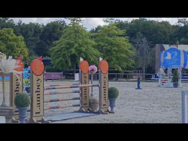 Jument CSO de 5 ans par Master Van de Helle
