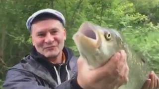 Как поймать вырезуба на красивой мече