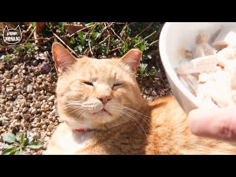 최애 간식을 줬는데 왜 먹지를 못하니!?