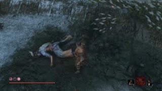 SEKIRO　ラスボス　初撃破