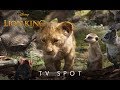 The Lion King 2019 TV Spot 4 Disney BE