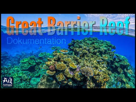 Das Great Barrier Reef (Korallenriff Dokumentation deutsch) | AquaOwner
