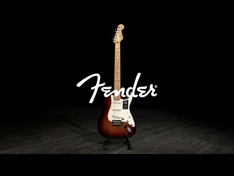 Fender Player Stratocaster image 8
