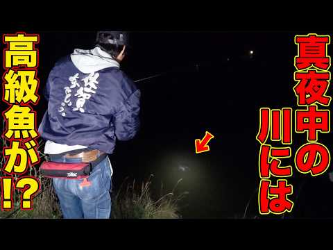 youtube-ガジェ・趣味記事2026/04/17 18:00:45