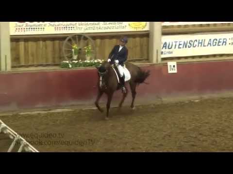 Weil der Stadt 2015 - Gabriele Haug - Done - Dressurprüfung Kl. M**