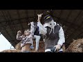 Lil Kiddy ŽUMPA feat Lil ASH EGO P Lil Kiddy ŽUMPA feat Lil ASH EGO P