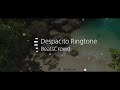 Despacito Ringtone Despacito Song Despacito Cover Despacito Flute Despacito Remix BeatsCrowd