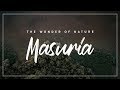 Masuria | The wonder of nature | Cinematic | 4K