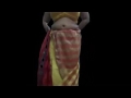Desi Aunty Big Boobs Saree Remove