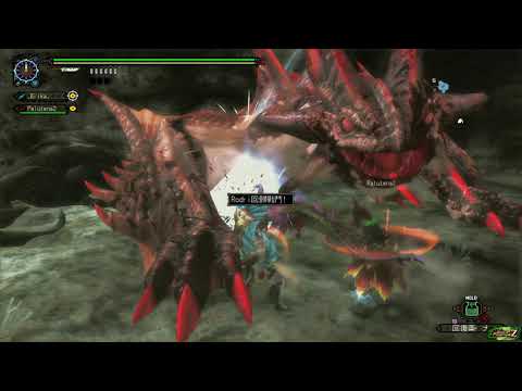 MHFZ - Musou Pariapuria