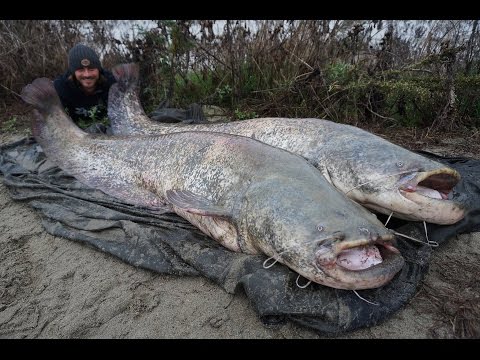 Fiume Po November Tour part 1 by Patrick Pauer