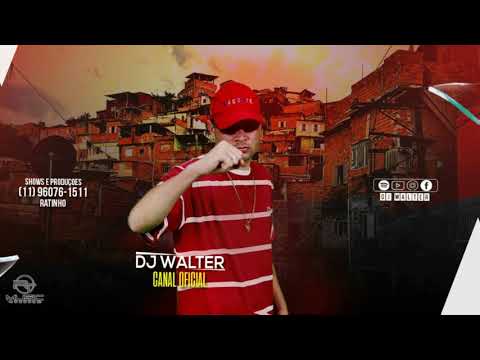 VEM FUDE - MC Mr Bim, Mr Zoi (DJ Piu, DJ Walter)