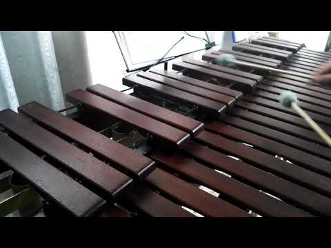 Inni di lode N°391: Negli affanni della vita Marimba Cover