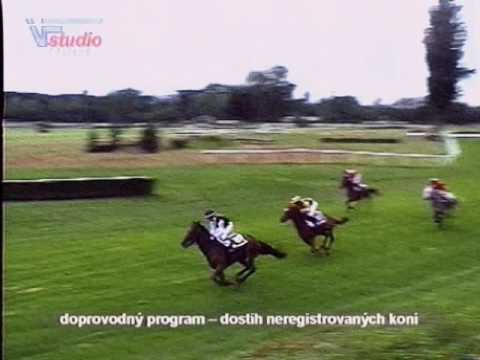 11. 6. 2016 - dostih neregistrovaných koní