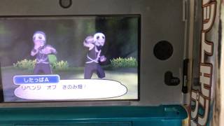 ポケモンサン7イリマの試練前編！
