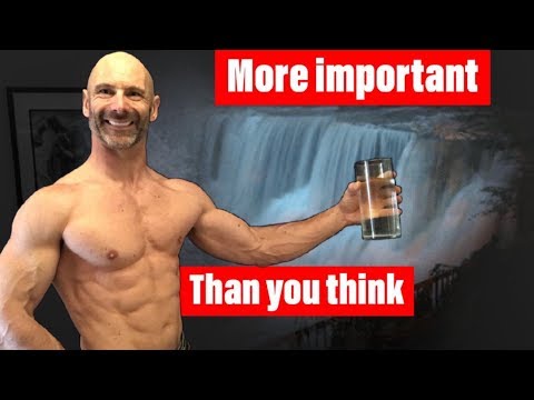 Water's Role in Building Muscle and Losing Weight.