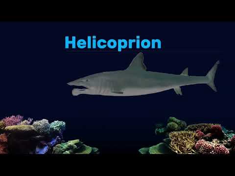 Prehistoric Sea Life Exclusive - @TheKidsPictureShow