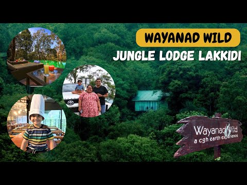 Wayanad Wild Jungle Lodge in Lakkidi Rain Forest | മഴയത്ത് കാടിനുള്ളിൽ താമസിച്ചപ്പോൾ