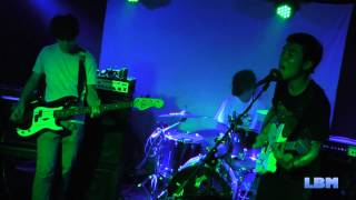 Birdstriking 鸟撞 - TV at 7PM 七点钟的电视机  (XP 9:12:12)