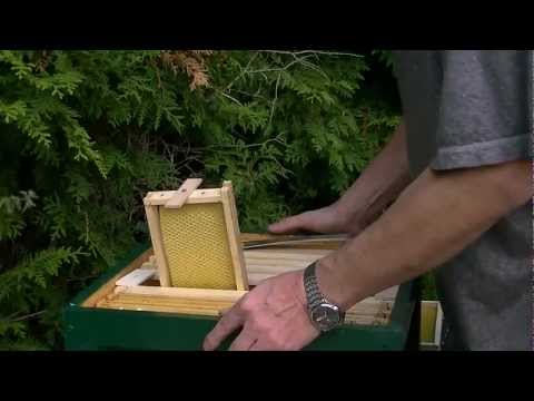 Von der Theorie zur Praxis.