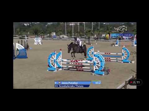 *SOLD* SCOOBYLENSKY 5 y.old (Comme il faut X For Pleasure)