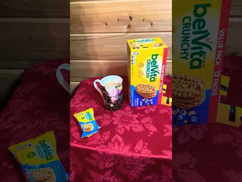 Review: BelVita Breakfast Biscuits