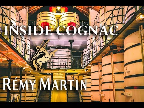 Inside Rémy Martin Cognac | Distillery Tour & Food Pairing