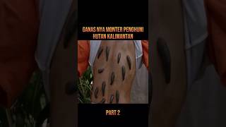 Download lagu THE FIERCE OF KALIMANTAN'S FOREST DWELLERS mp3