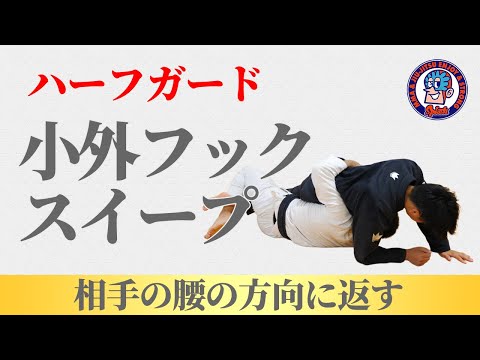 ハーフガード　小外フックスイープ