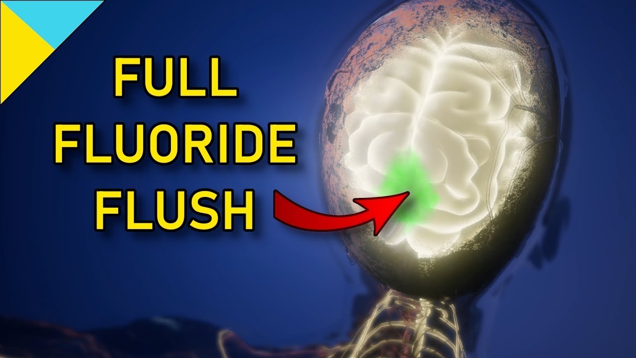 74,000,000,000,000 Hertz • PINEAL GLAND FLUORIDE FLUSH / DE-CALCIFICATION / INTENSE CLEANSE / DETOX