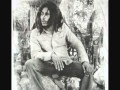 Bob Marley and the Wailers Live in Painesville ...