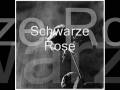 IBO - Schwarze Rose 