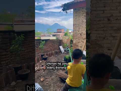 Berkebun Dirumah #rumahsederhana #rumah #berkebun #minigarden