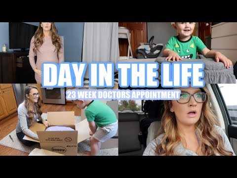 DITL VLOG | Pregnancy Update | Target + Pink Blush Haul | Felicia Keathley