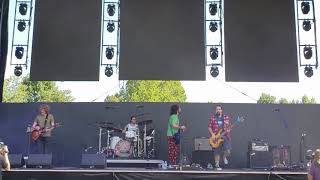 Pigeons Playing Ping Pong / LOCKIN' 2018, -- August.-25--2018