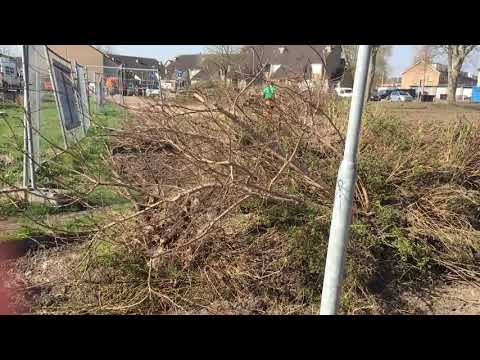 Groenwerkzaamheden rond IKC Ter Aar