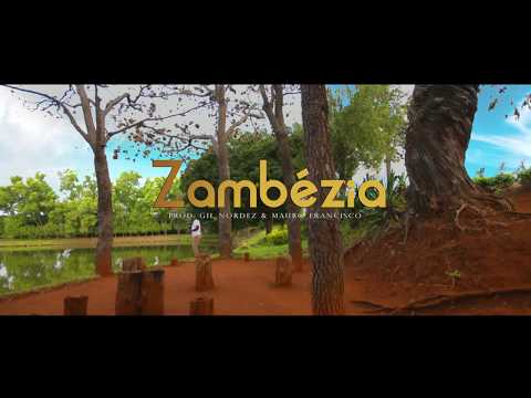 Amostra Sobrinho - Zambézia 4k