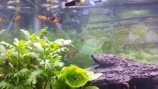 20131109_185651.mp4