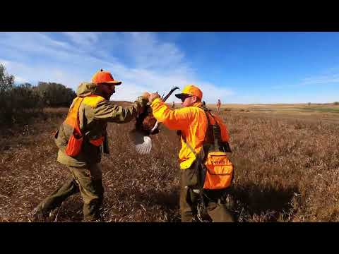 Kent Cartridge Fasteel+ | Hardest Hitting Shotgun Shell For Duck Hunting?