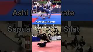 Download lagu karate vs Silat #martialarts #pencaksilat #silat #karate #karatevssilat mp3