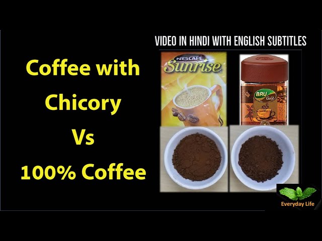 Video Pronunciation of chicory in English
