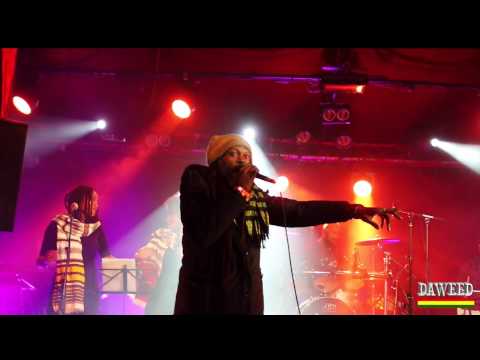 DAWEED _CHIMEN LA - AU CABARET SAUVAGE  #RAGGADUBFORCEFESTIVAL 2K17 1