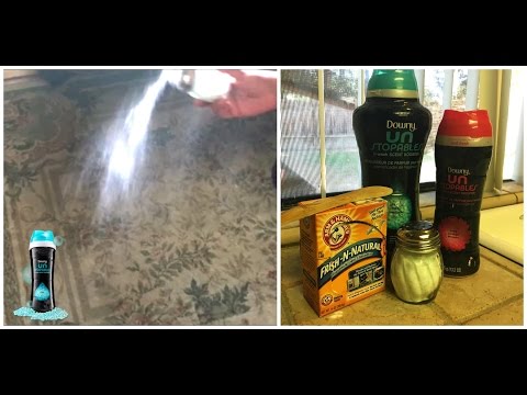 download lagu mp3 mp4 Carpet Freshener, download lagu Carpet Freshener gratis, unduh video klip Carpet Freshener