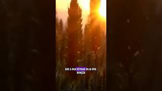 Que a sua semana seja abençoada