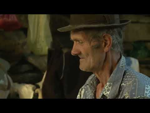 Ce este Patrimoniul?