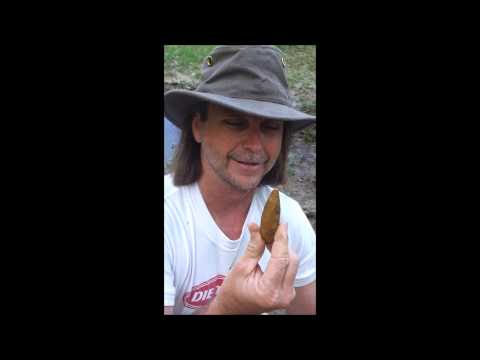 4 11 15 Arrowhead hunting trip Video